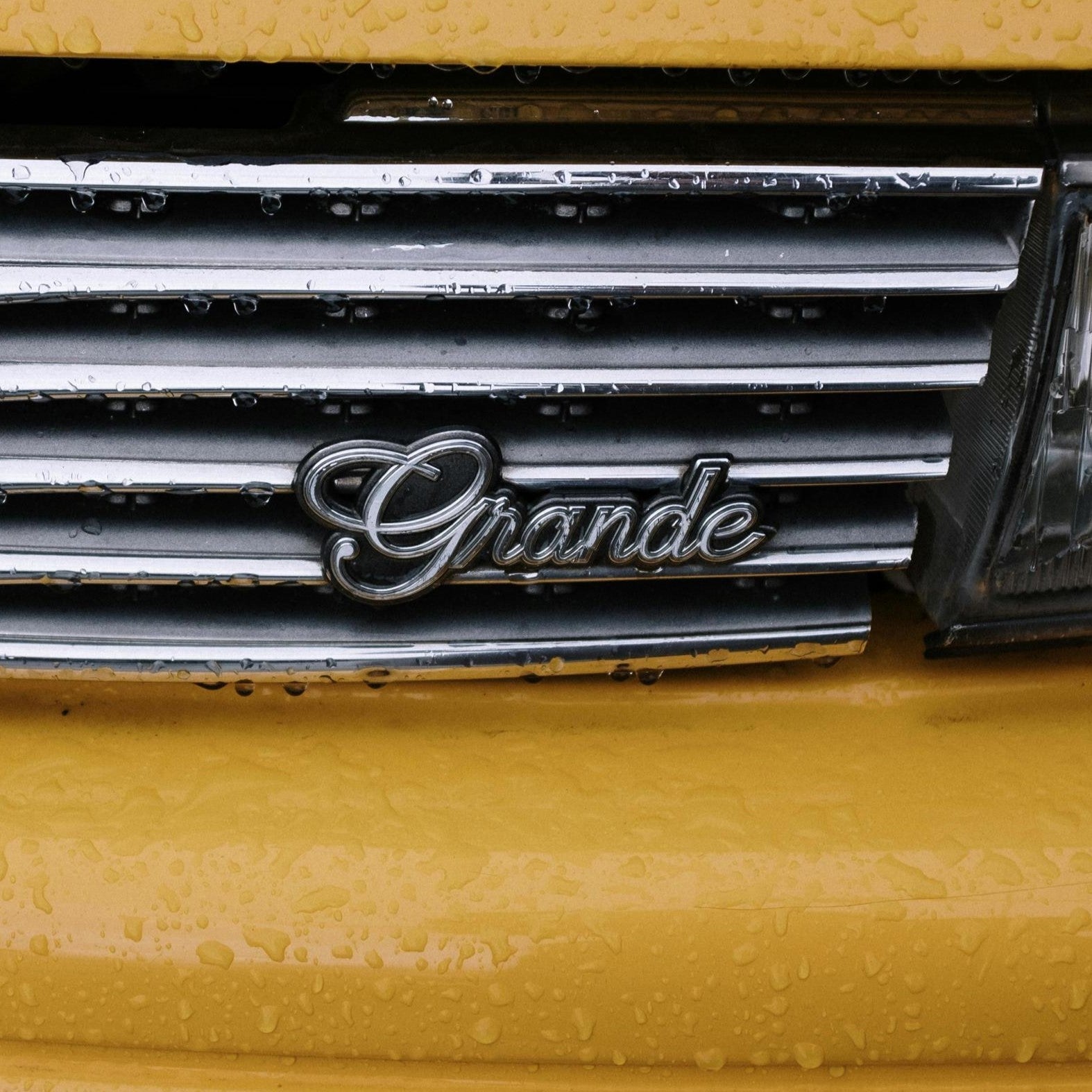 Badges & Emblems