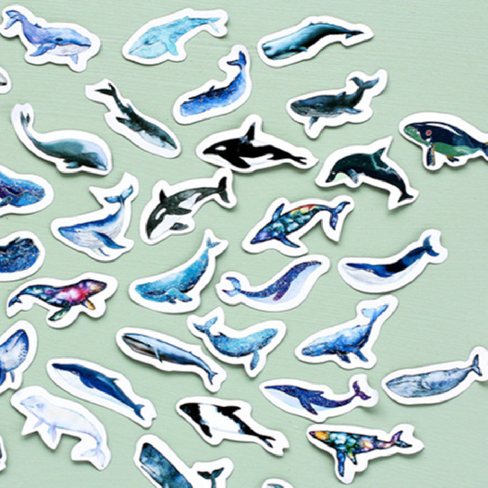 Box-packed Stickers Whale Tent Sticker Decorative Sealing Stickers ATS Car Design